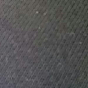 Meet your Posher, Freddie