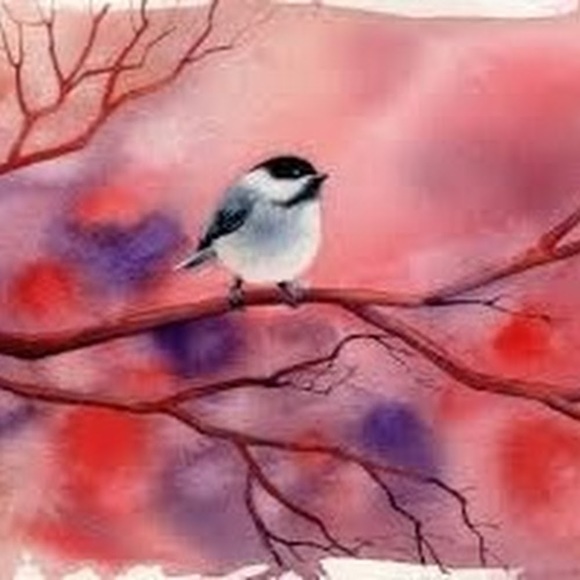 Meet your Posher, Rae - Picture 1 of 1