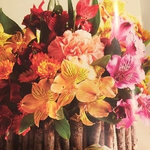 Meet your Posher, Nancy