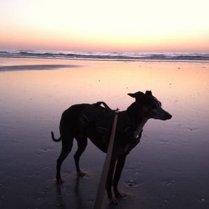 Meet your Posher, Gary