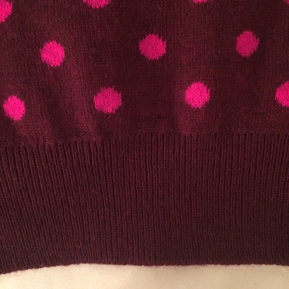 The Limited Polka Dot Sweater - Picture 5 of 5