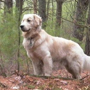 Meet your Posher, Judy