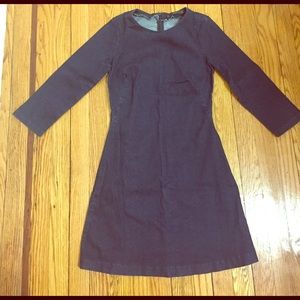 Zara Denim Dress
