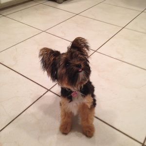 Meet your Posher, Olivia