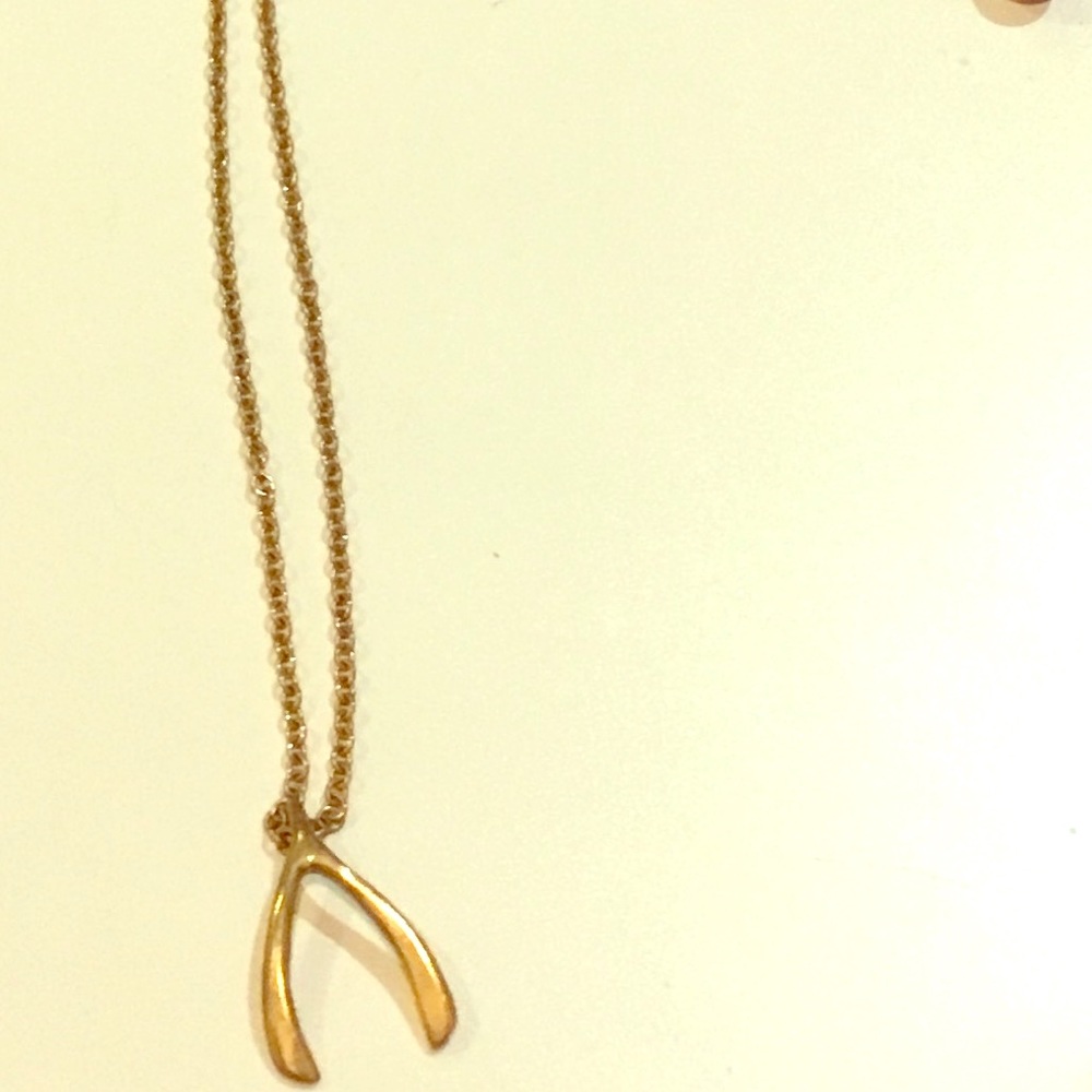 Golden wishbone necklace