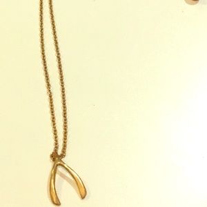 Golden wishbone necklace