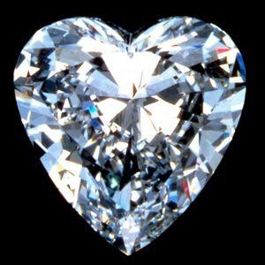 Meet your Posher, Lucy