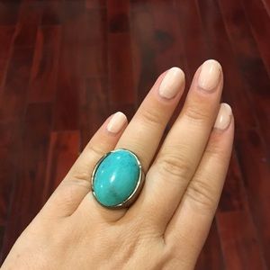 Oval turquoise and silver ring