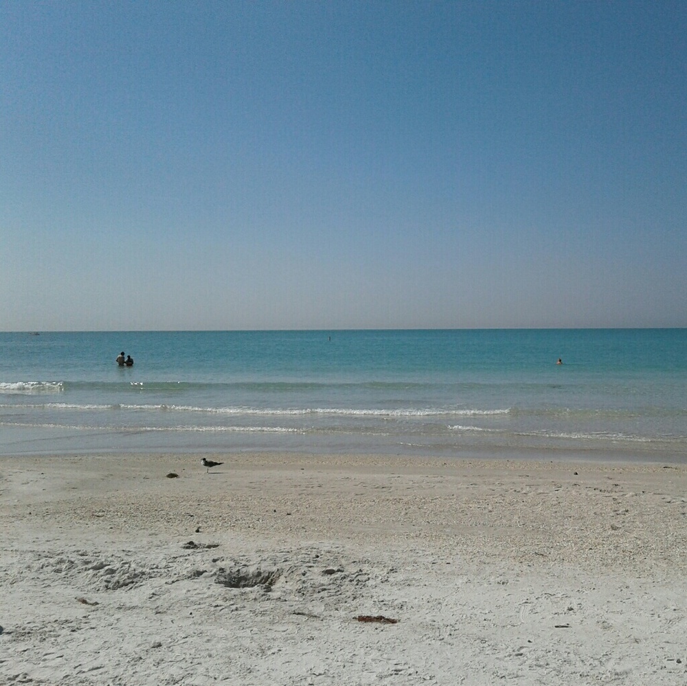 Meet your Posher, Veronica