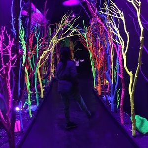 Meet your Posher, Ana-alicia