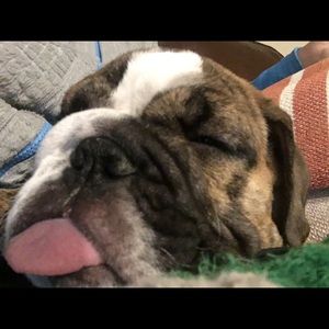 Meet your Posher, Chad