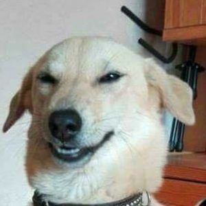 Meet your Posher, Kaitlyn