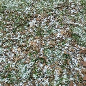 Meet your Posher, Emilee