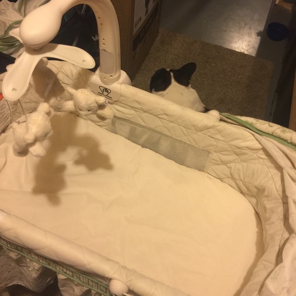 Bassinet - Picture 3 of 7