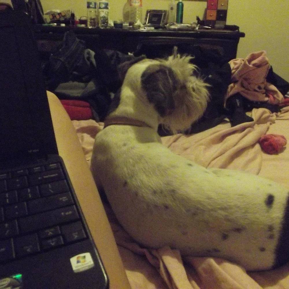 Meet your Posher, Uva