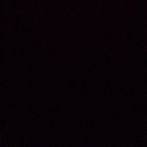 Meet your Posher, Dylan