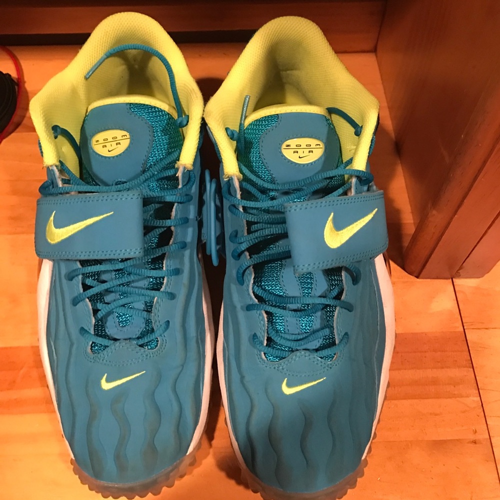 Nike zoom air sneakers
