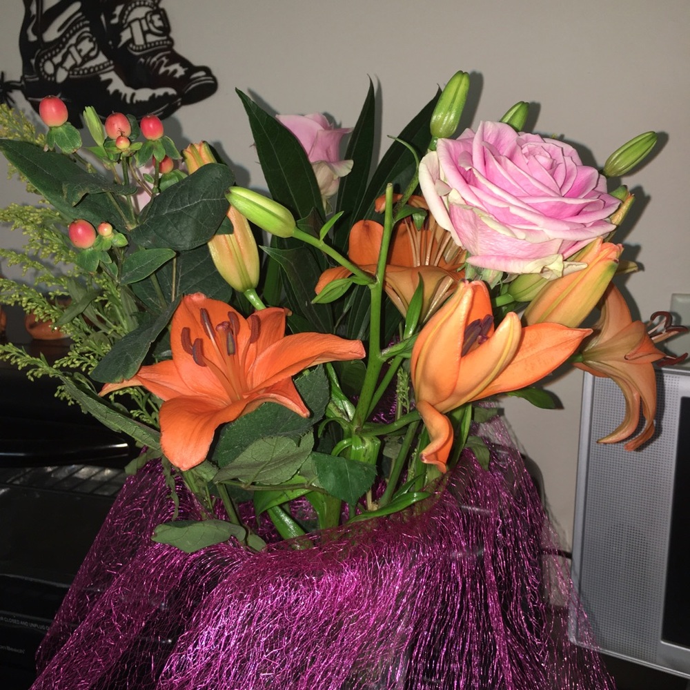 Meet your Posher, Steffi