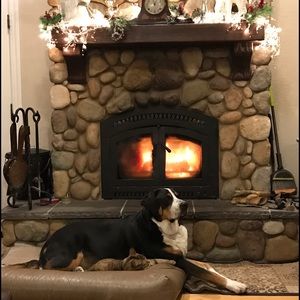 Comfy, Cozy and Chic