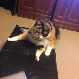 Meet your Posher, Lesley