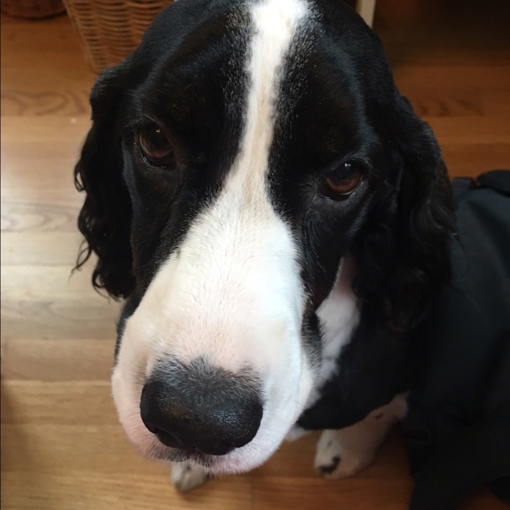 Meet your Posher, Valerie