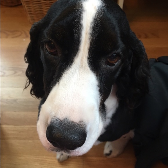 Meet your Posher, Valerie - Picture 1 of 1