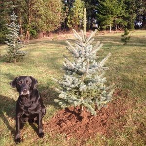 Meet your Posher, Johanna