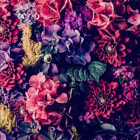 Meet your Posher, Mercy - Picture 5 of 8