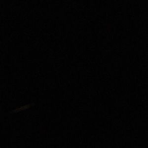 Meet your Posher, Shanel