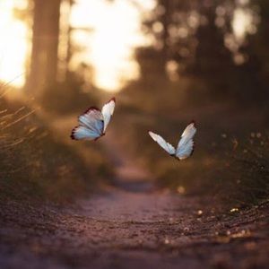 Meet your Posher, Aman