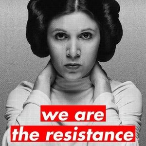 Meet your Posher, Launa