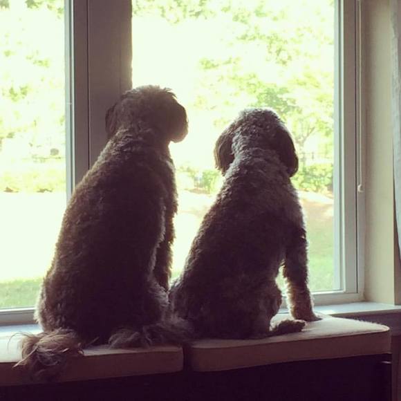 Meet your Posher, Helen - Picture 1 of 1