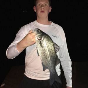 Meet your Posher, Dylan