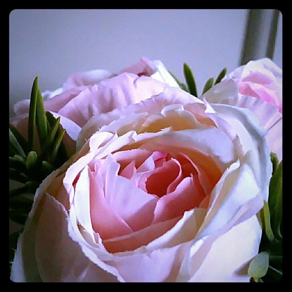 Meet your Posher, Song