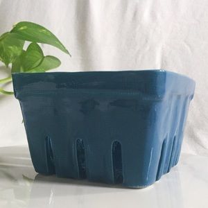 Anthropologie Other Blue Farmers Market Berry Basket Poshmark
