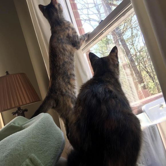 Meet your Posher, Sarahanne - Picture 1 of 1