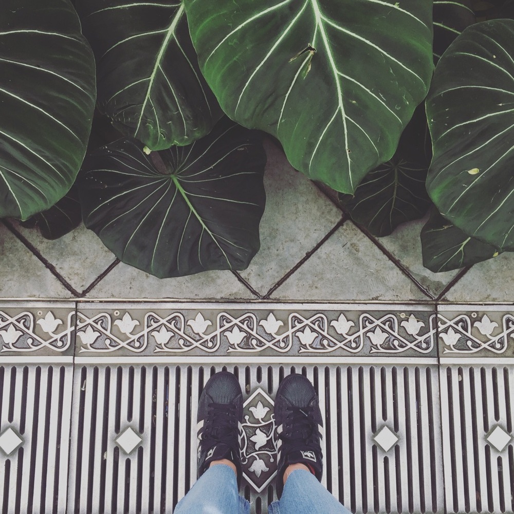 Meet your Posher, Mandy