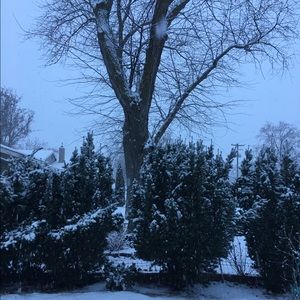 Meet your Posher, Melisa