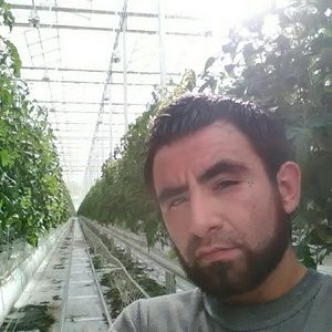 Meet your Posher, Paul