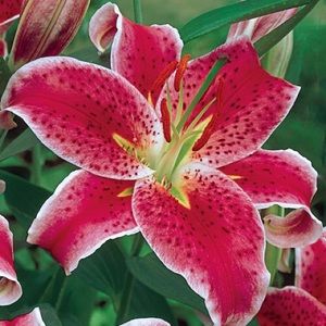 Meet your Posher, Maribel