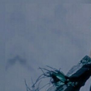 Meet your Posher, Lizzy