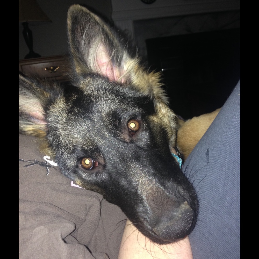 Meet your Posher, Sherry
