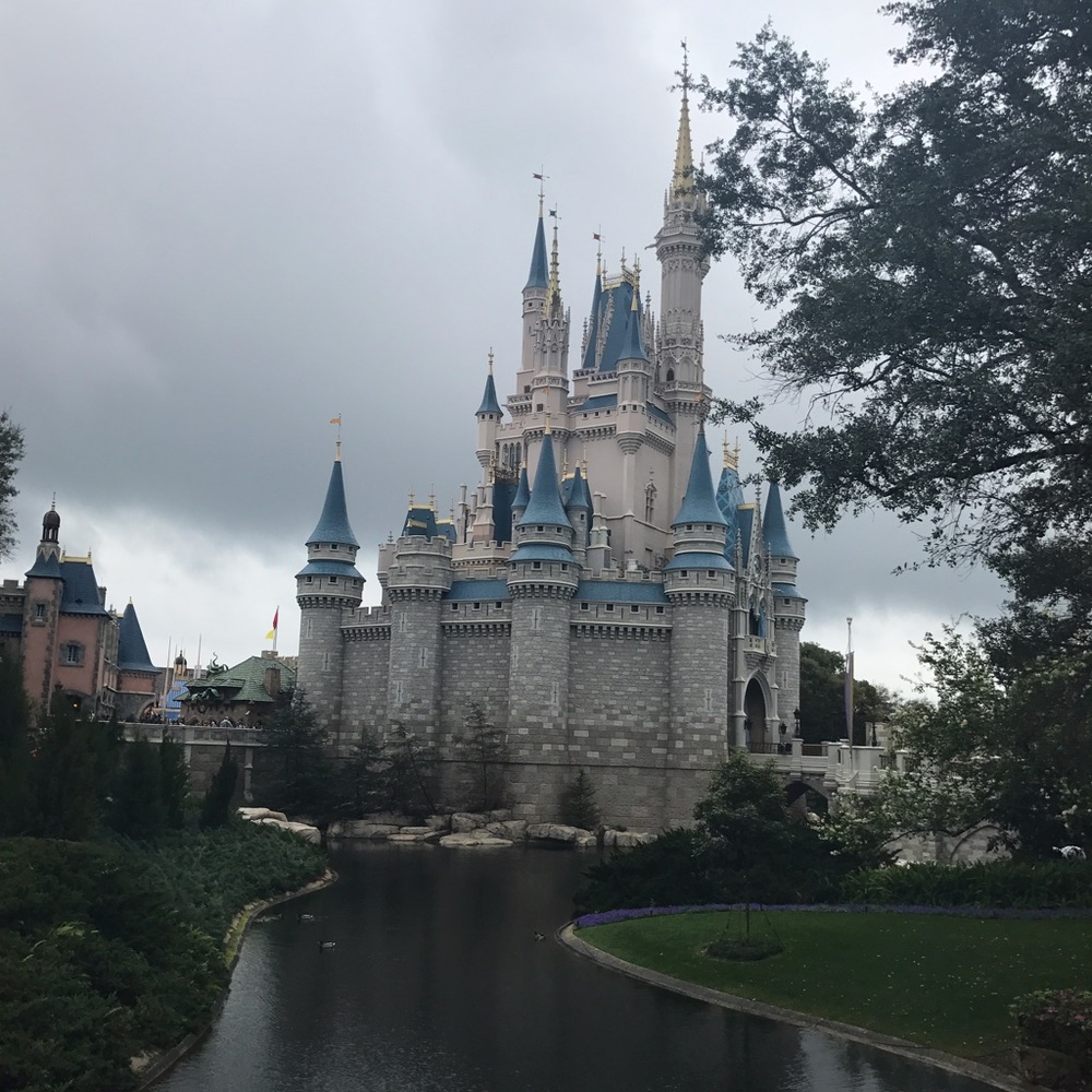 Meet your Posher, Gianna