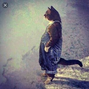 Meet your Posher, Jill