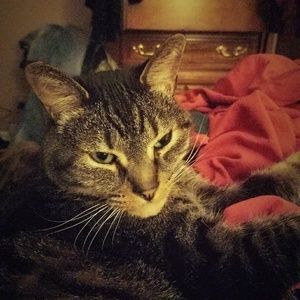 Meet your Posher, Kelly