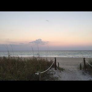 Meet your Posher, Riley