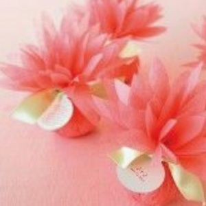 Meet your Posher, Yolanda