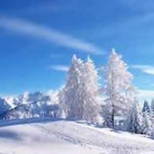 Meet your Posher, Leeanne