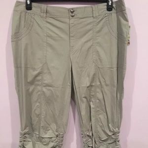 International concept cropped pants size 18w Nwt