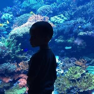 Meet your Posher, Arnaldo